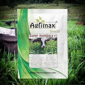 Agrimax Super Mombaca F1 Premium Quality Seeds (Made in Spain) by Agrimaxgroup®